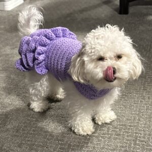 Crochet Pet Sweaters